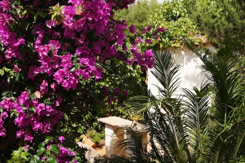 Villa Cala Mendia Cala Mandia  Exterior foto