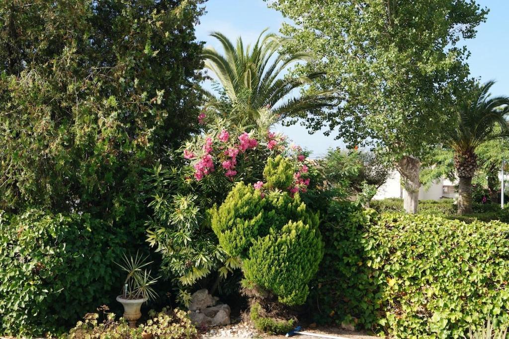 Villa Cala Mendia Cala Mandia  Exterior foto